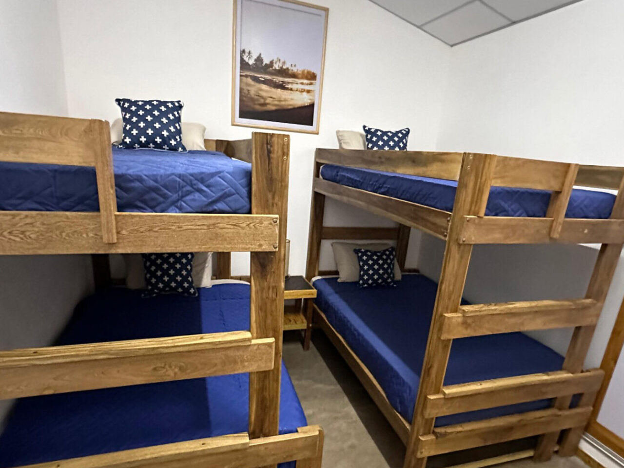 WhatsApp Image 2024-12-02 at 15.15.50