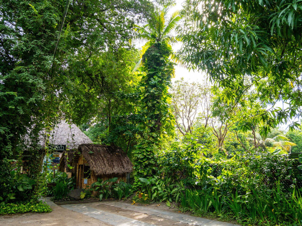 Michanti-El-Zonte-Surfcity-El-Salvador-5