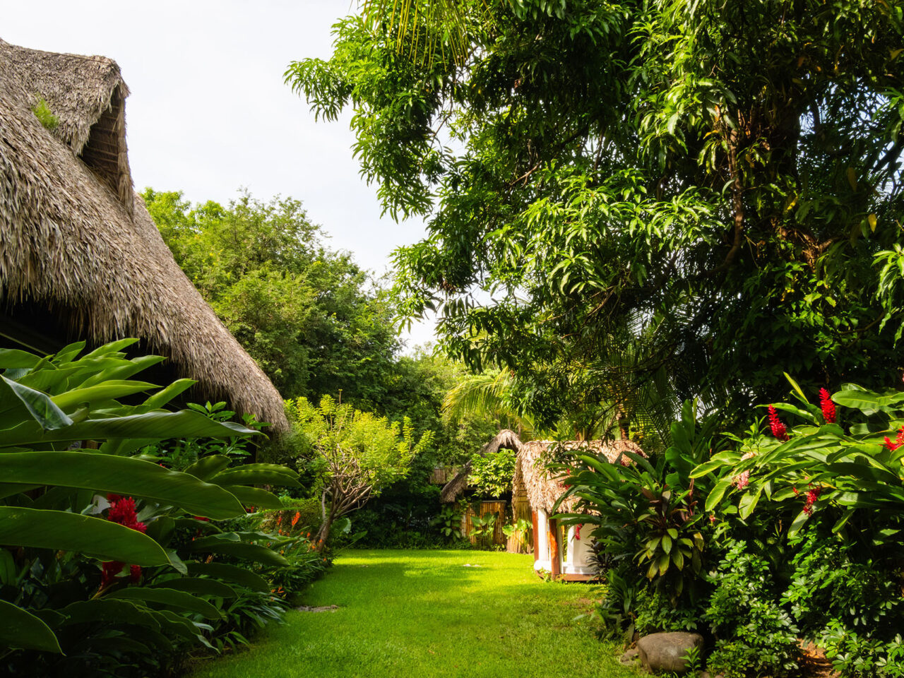 Michanti-El-Zonte-Surfcity-El-Salvador-Garden-7